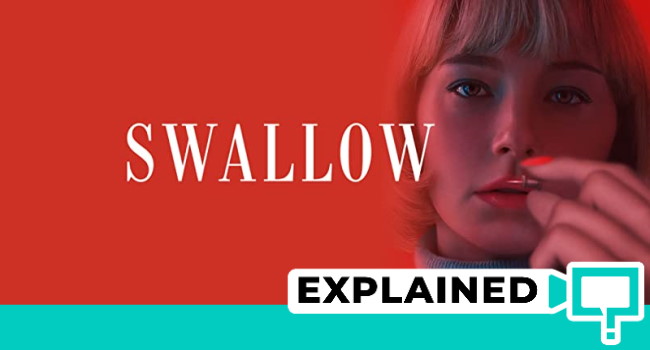 swallow movie explained